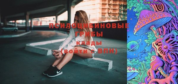 а пвп мука Абаза