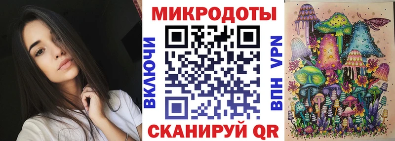 закладки  Новоуральск  Псилоцибиновые грибы MAGIC MUSHROOMS 