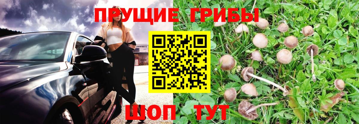 Новоуральск  Галлюциногенные грибы MAGIC MUSHROOMS  Вход с VPN  Галлюциногенные грибы Magic Shrooms 